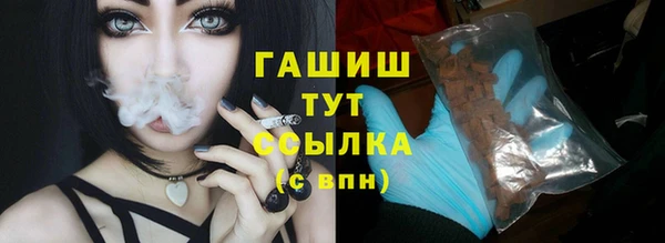 тгк Абаза