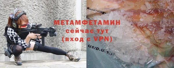 прущие грибы Пестово