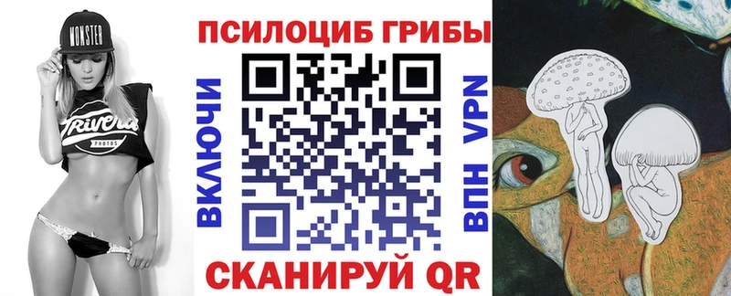 купить наркоту  Старая Купавна  Галлюциногенные грибы мухоморы 