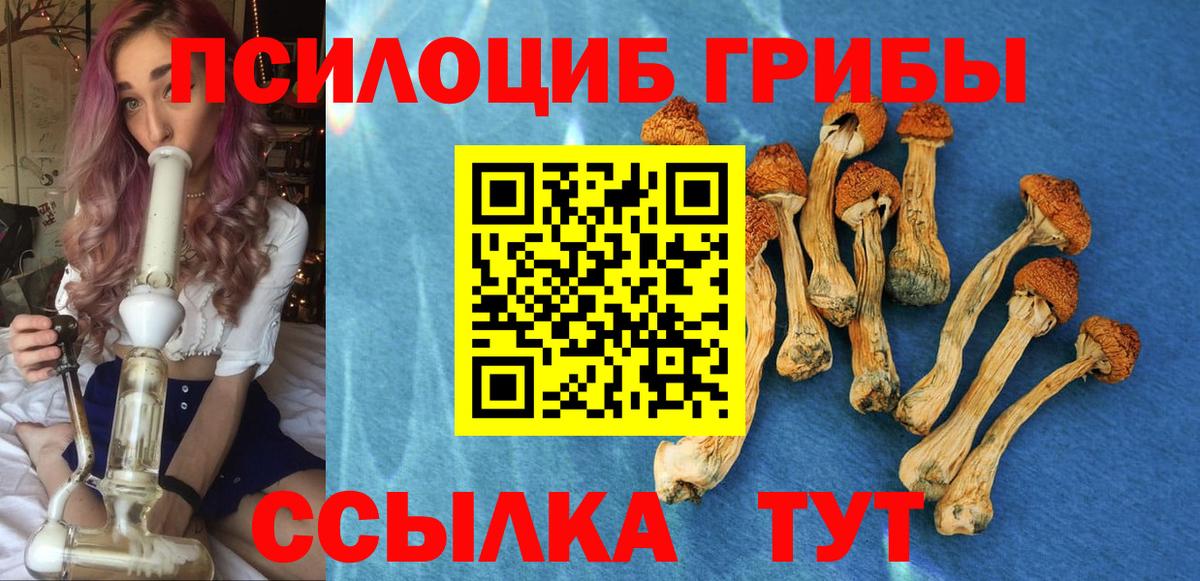 Галлюциногенные грибы прущие грибы  Вход с VPN  Старая Купавна 