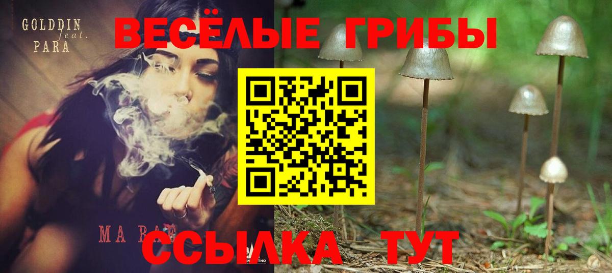 Псилоцибиновые грибы Cubensis Старая Купавна